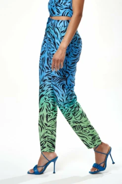 Liquorish Zebra Print Ombre Trosuers In Blue And Green -Liquorish || Yumi Shop ZgjR2Bvr 10472