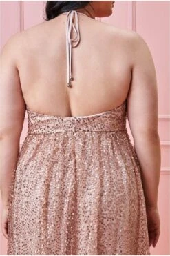 Goddiva Plus Sequin & Mesh Halter Neck Maxi - Champagne -Liquorish || Yumi Shop wSBvEIlY 5039